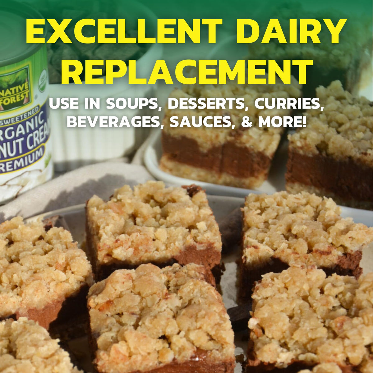 Native Forest coconut cream dairy-free dish showing versatile replacement in recipes.