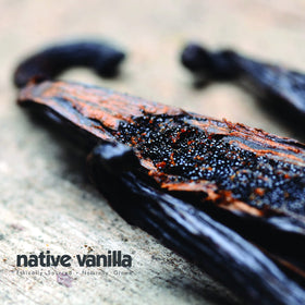 Native Vanilla beans seeds close-up highlighting premium quality and aroma.