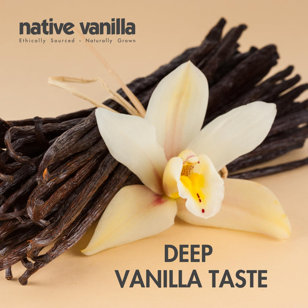 Closeup of specks in Native Vanilla bean paste showing artisanal texture