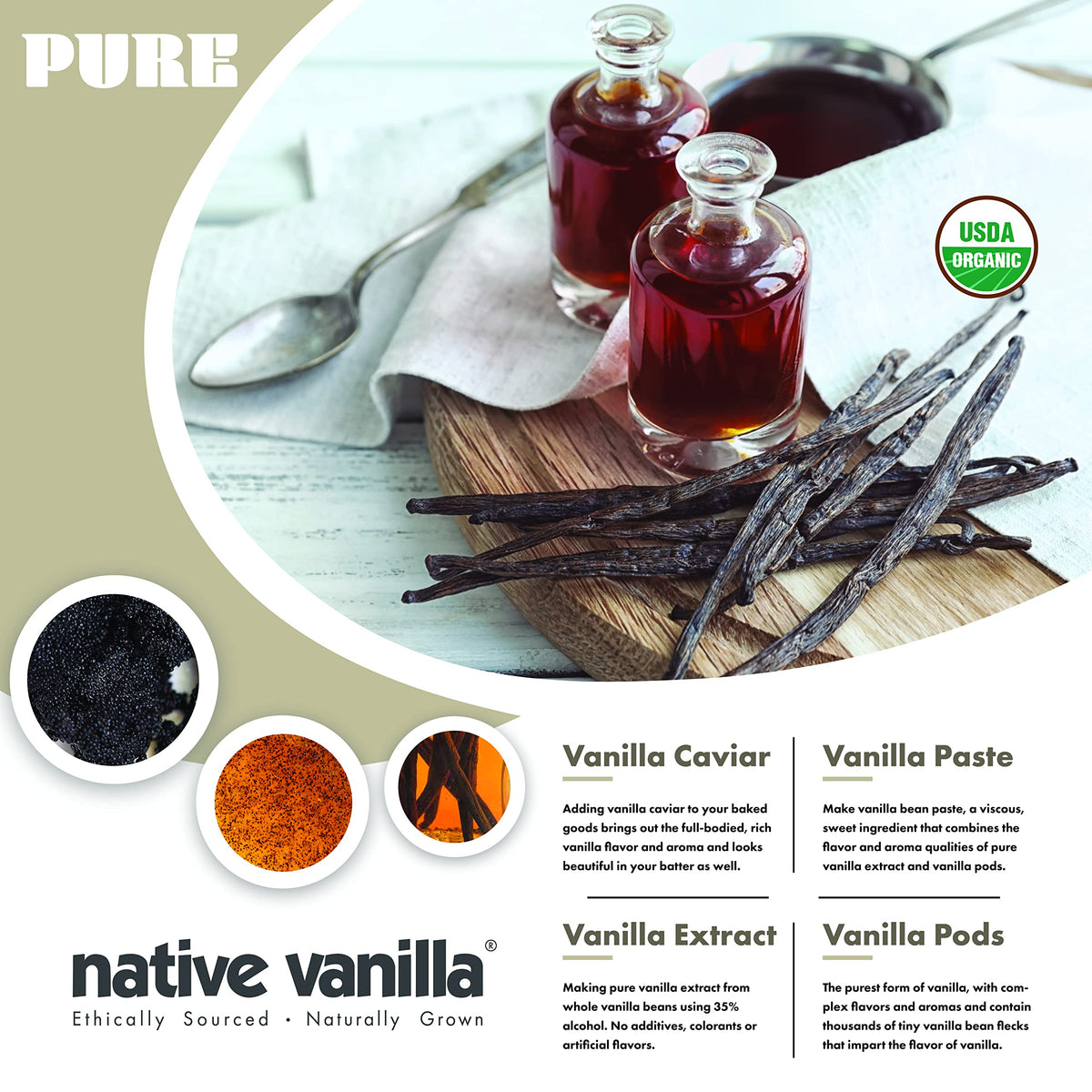 Native Vanilla vanilla beans close-up seeds for homemade extract.