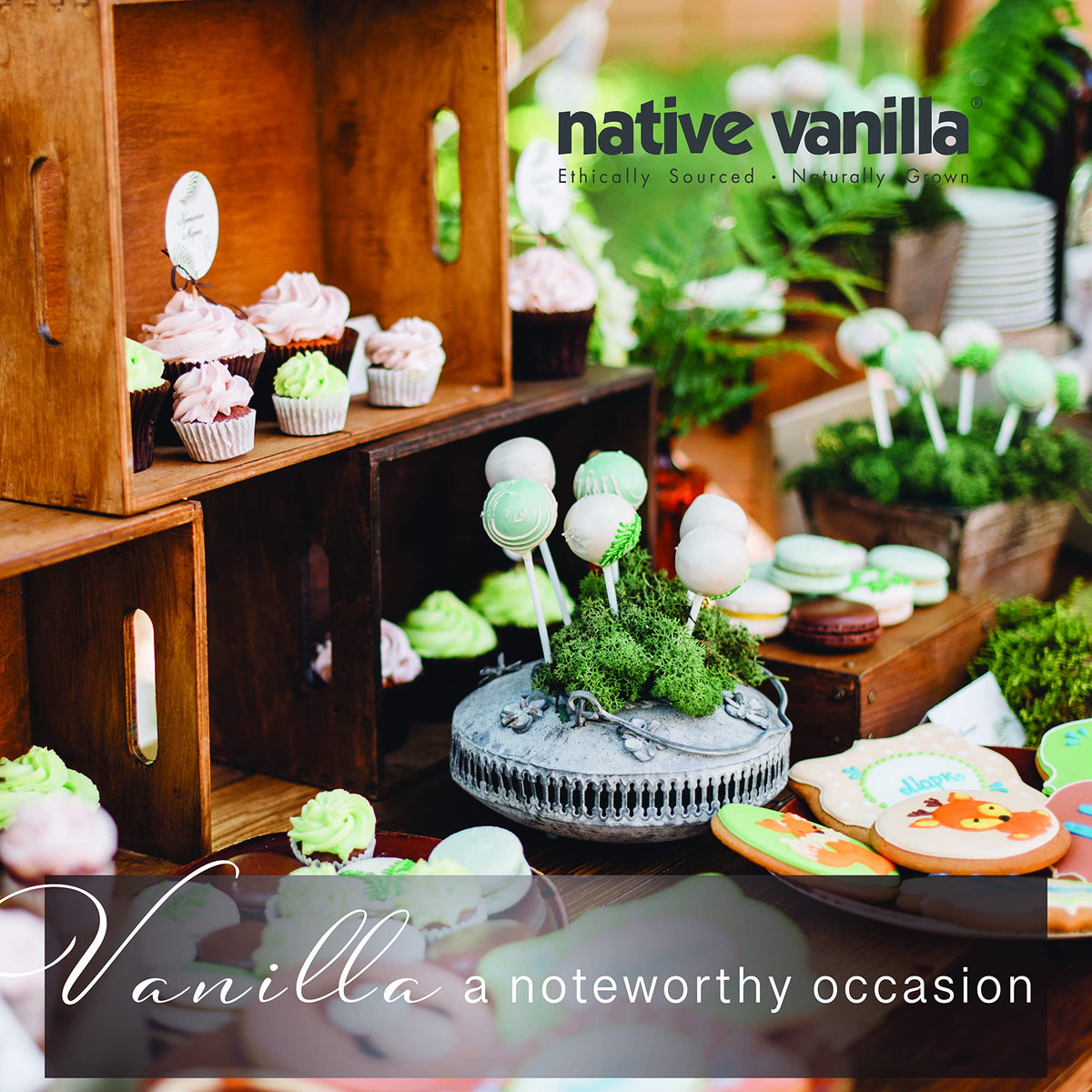 Native Vanilla vanilla beans long plump pods for rich aroma.