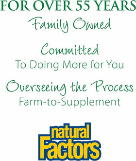 Natural Factors chocolate-flavored powder blended for a creamy breakfast smoothie.