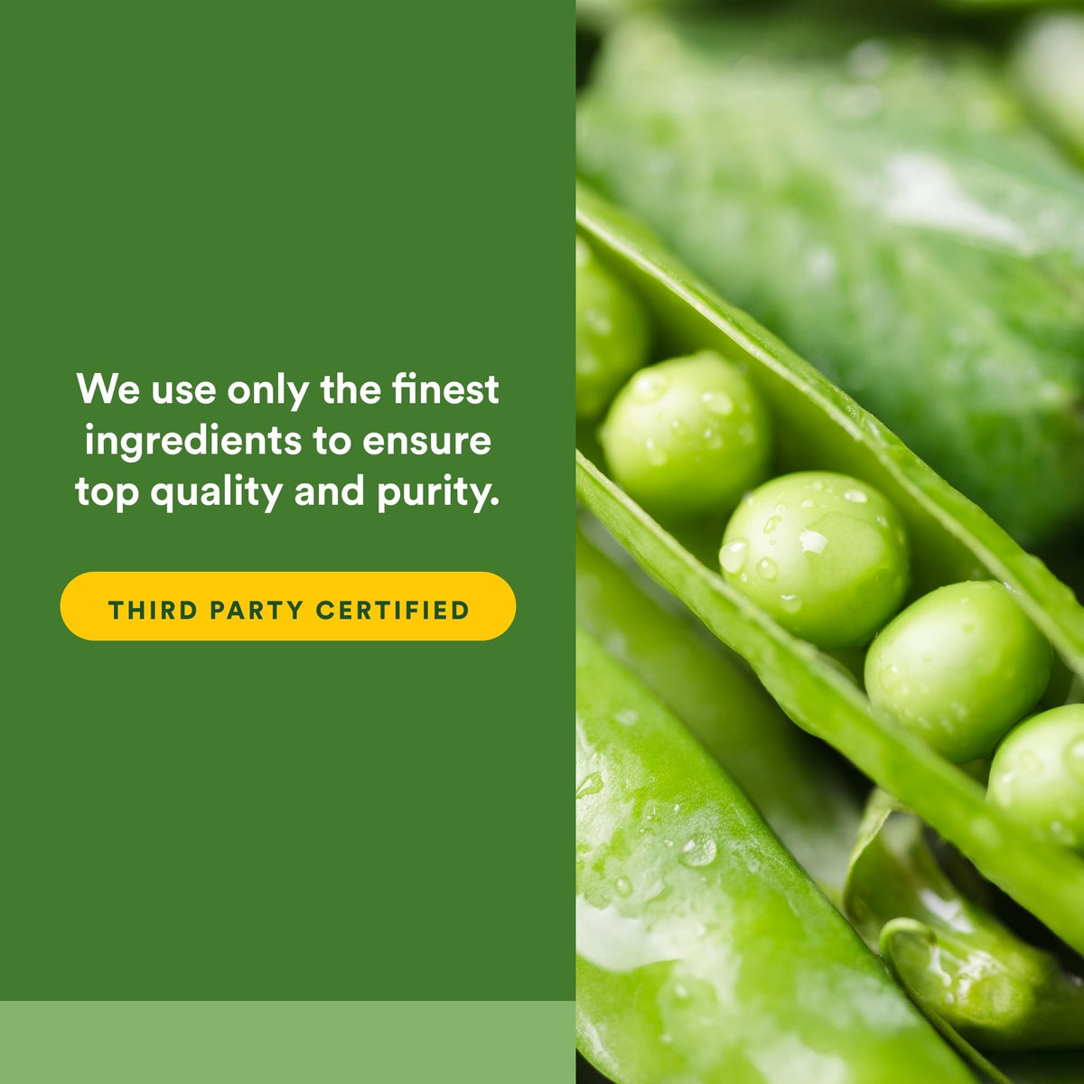 Natural Factors fermentation process emphasizes potency and digestion-friendly nutrition.