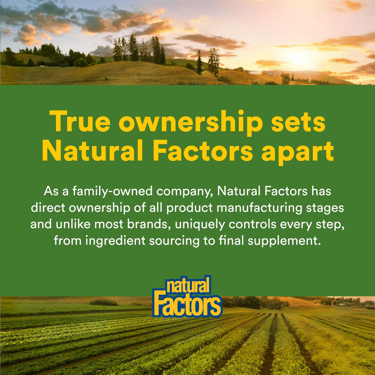Natural Factors third-party certification badge signals GMO-free and purity checks.