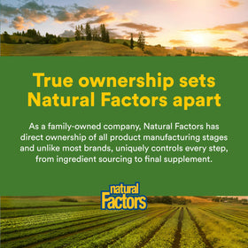 Natural Factors third-party certification badge signals GMO-free and purity checks.