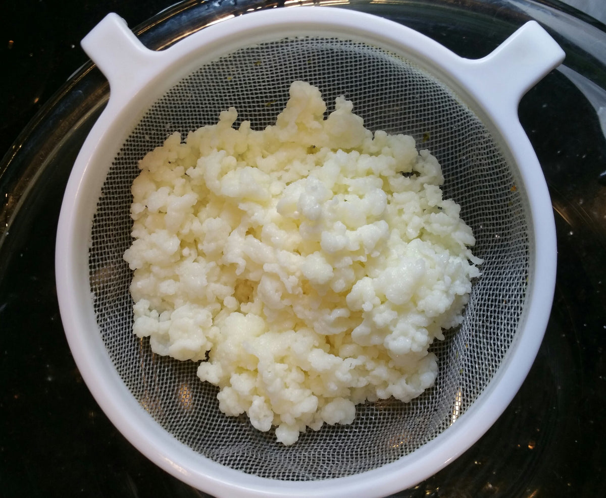 Natural Home Remedies Bulgaros water kefir grains with clear brewing instructions for home fermentation