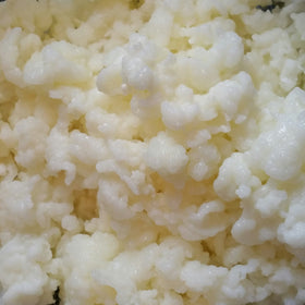 Natural Home Remedies Bulgaros water kefir grains ready to culture for a fizzy beverage