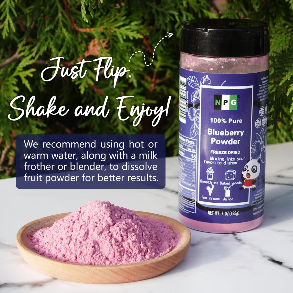 Natural Plus Green NPG Frezee-Dried Blueberry Powder closeup highlighting seedless texture for beverages