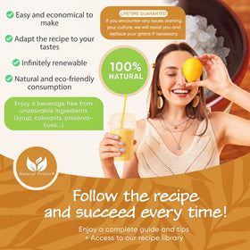 Natural Probio fruit kefir fizz at home with probiotic beverages
