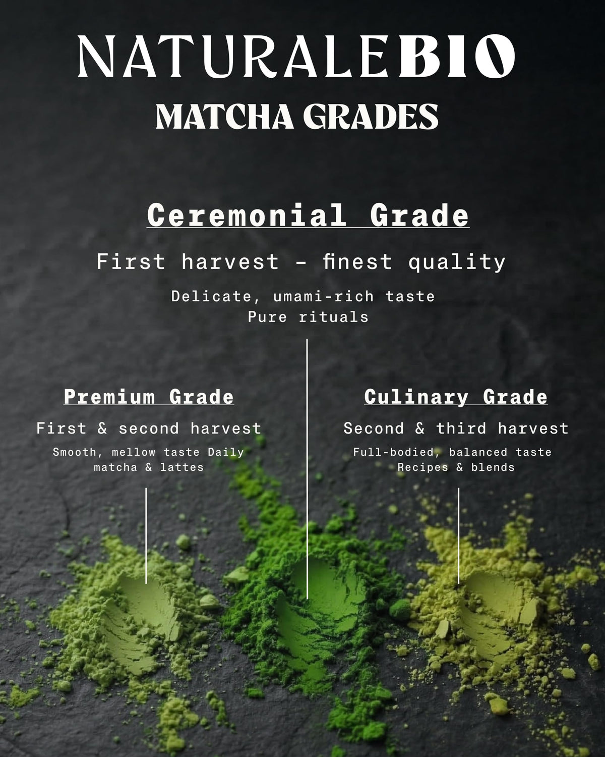 NaturaleBio cup with steaming matcha demonstrates a calm, focused moment