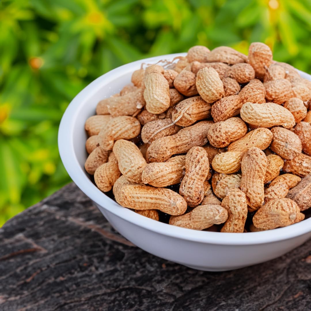 Naturalee peanuts in shell close-up roasted: premium flavor for gatherings.
