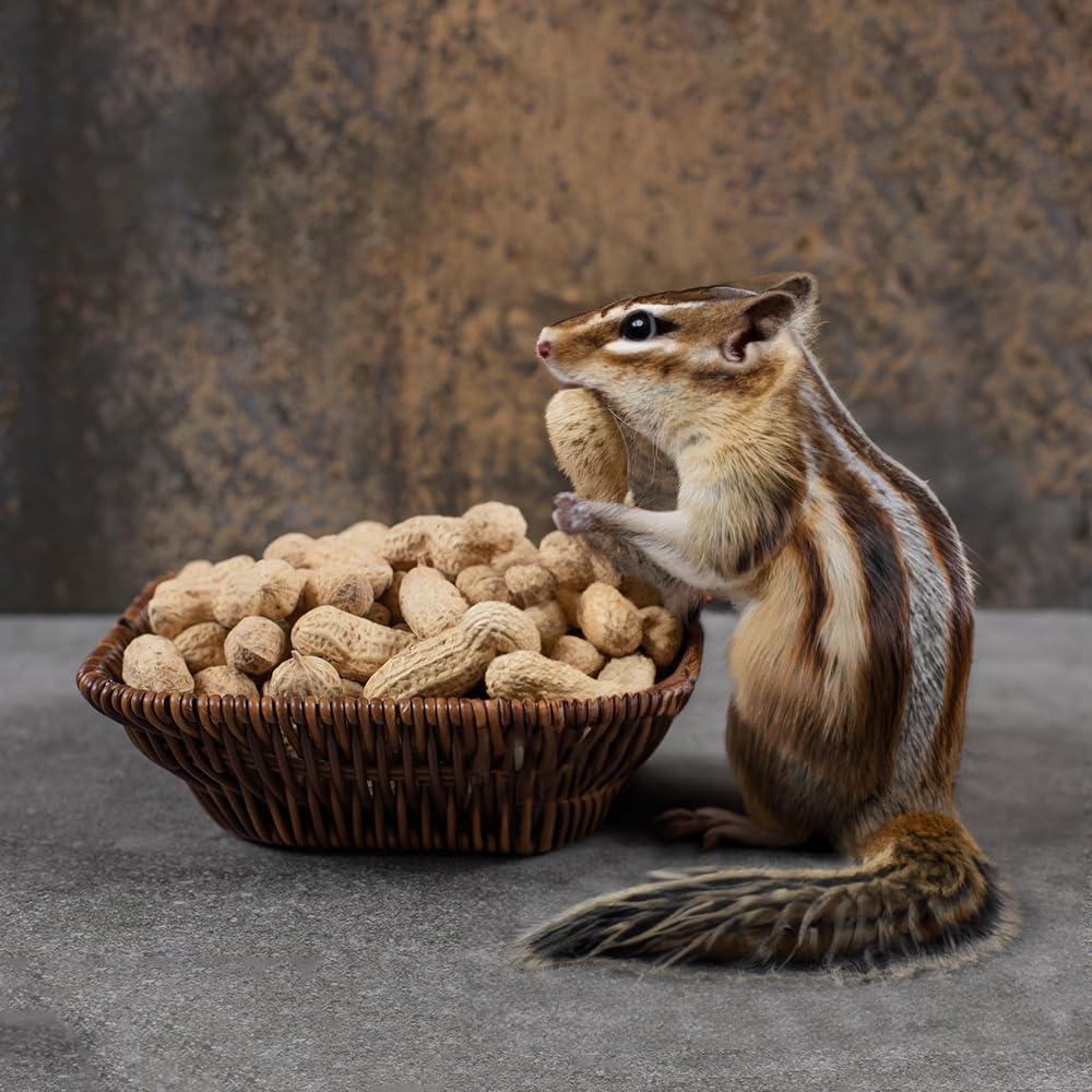 Naturalee peanuts in shell 2lbs wildlife feed option for safe animal treats.