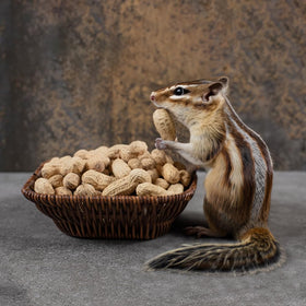Naturalee peanuts in shell 2lbs wildlife feed option for safe animal treats.