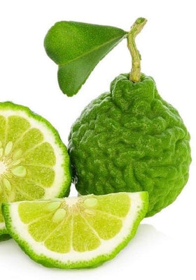 Naturals-n-Organics bergamot tea brew cup capturing aroma and flavor.
