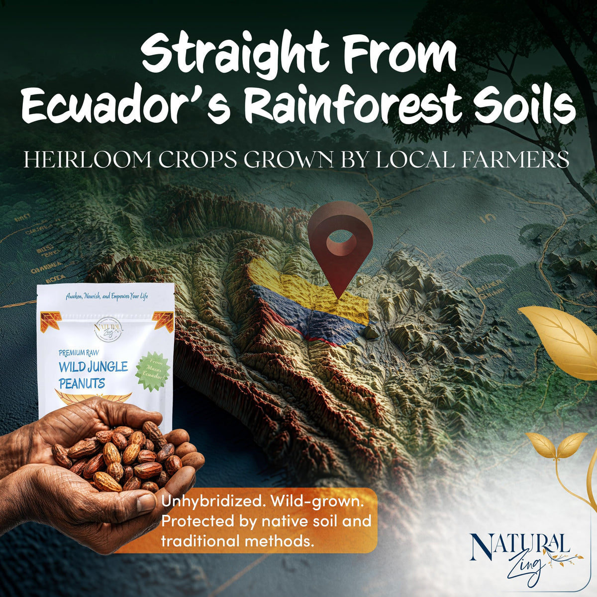 NaturalZing Wild Jungle Peanuts heritage variety highlights non-hybridized, true peanut history.