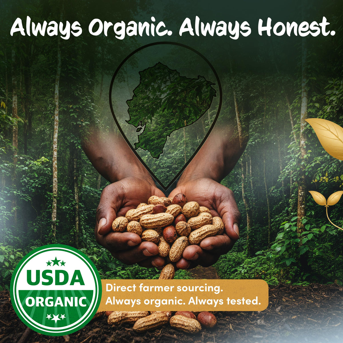 NaturalZing Wild Jungle Peanuts packaging emphasizes organic, non-GMO, no additives.