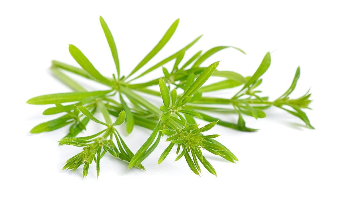 Nature Tea Cleavers dried leaf cup brew invites calm, refreshing flavor.
