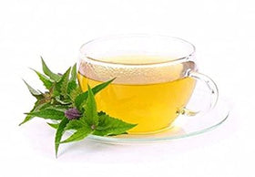Nature Tea Hyssop green plant branch showing fresh, aromatic herb for culinary blends