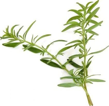 Nature Tea Hyssop packaging foil bag highlighting premium herb for daily brews