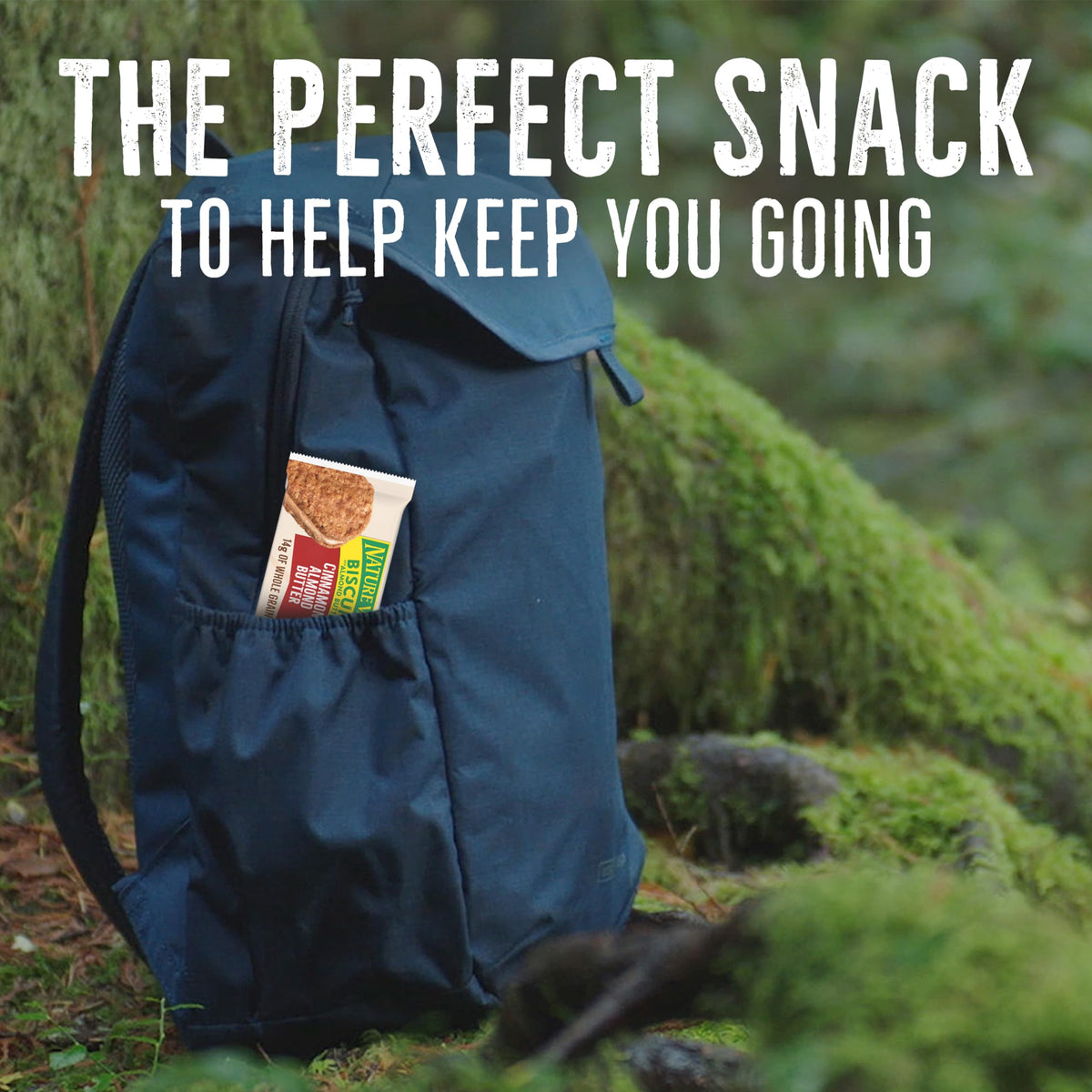 Pantry-ready Nature Valley Cinnamon Almond Butter Biscuit Sandwiches for easy snacking