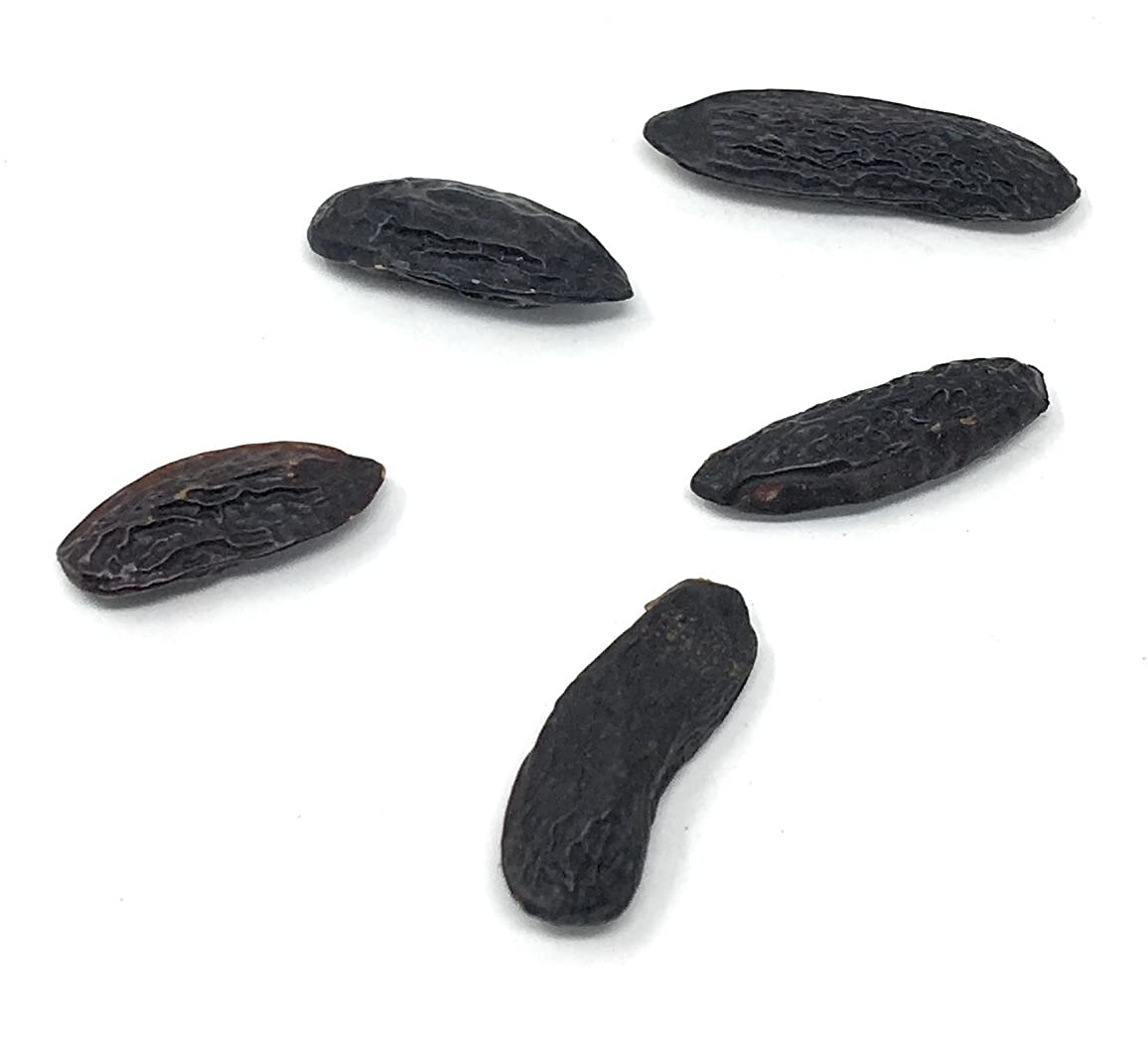 Naturegrail tonka beans vanilla-honey note closeup showcases warm aroma for ice cream
