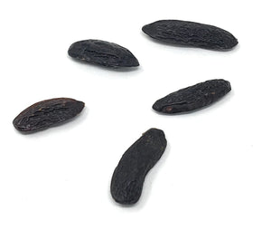Naturegrail tonka beans vanilla-honey note closeup showcases warm aroma for ice cream