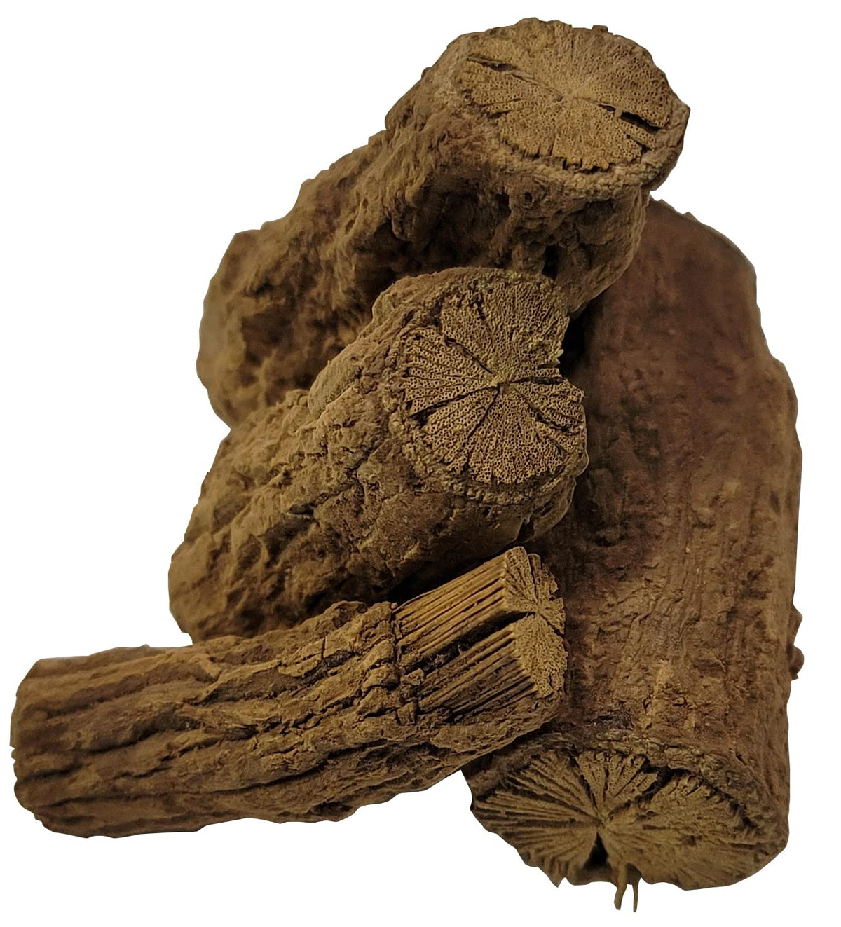 Close-up of Naturejam Palo Guaco raw vine chunks for tropical plant enthusiasts.
