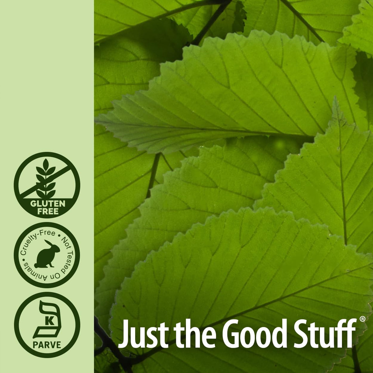 Nature's Answer Slippery Elm dosing scene features 1,000 mg per serving.