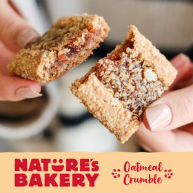 Nature's Bakery after-school snack image, easy vegan treat.