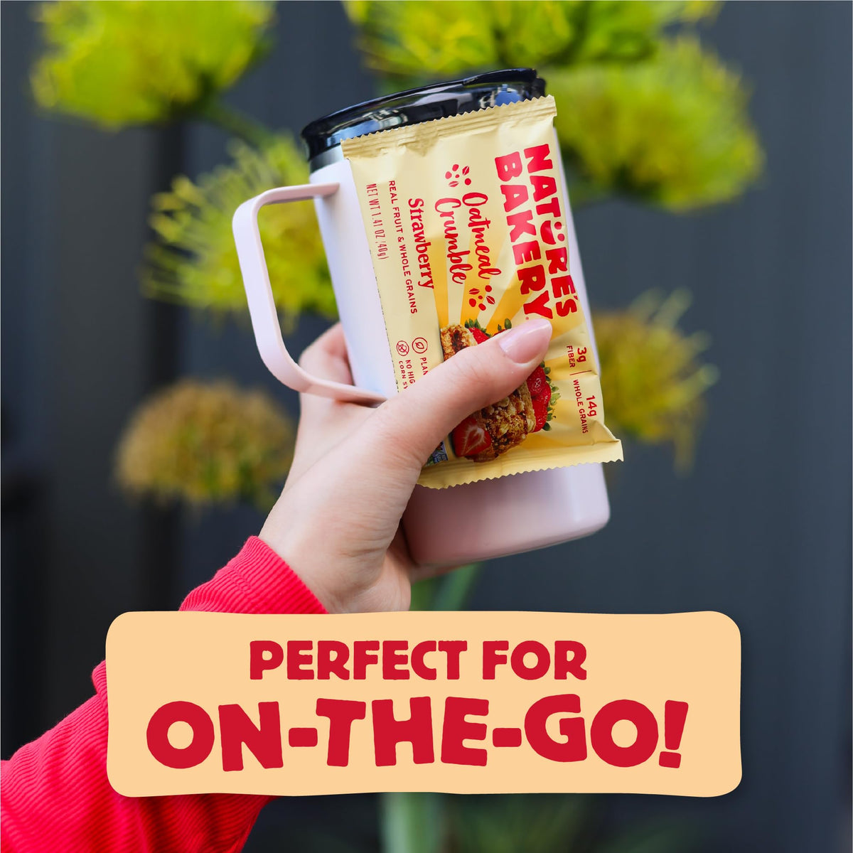 Nature's Bakery breakfast on-the-go image, quick energy for mornings.