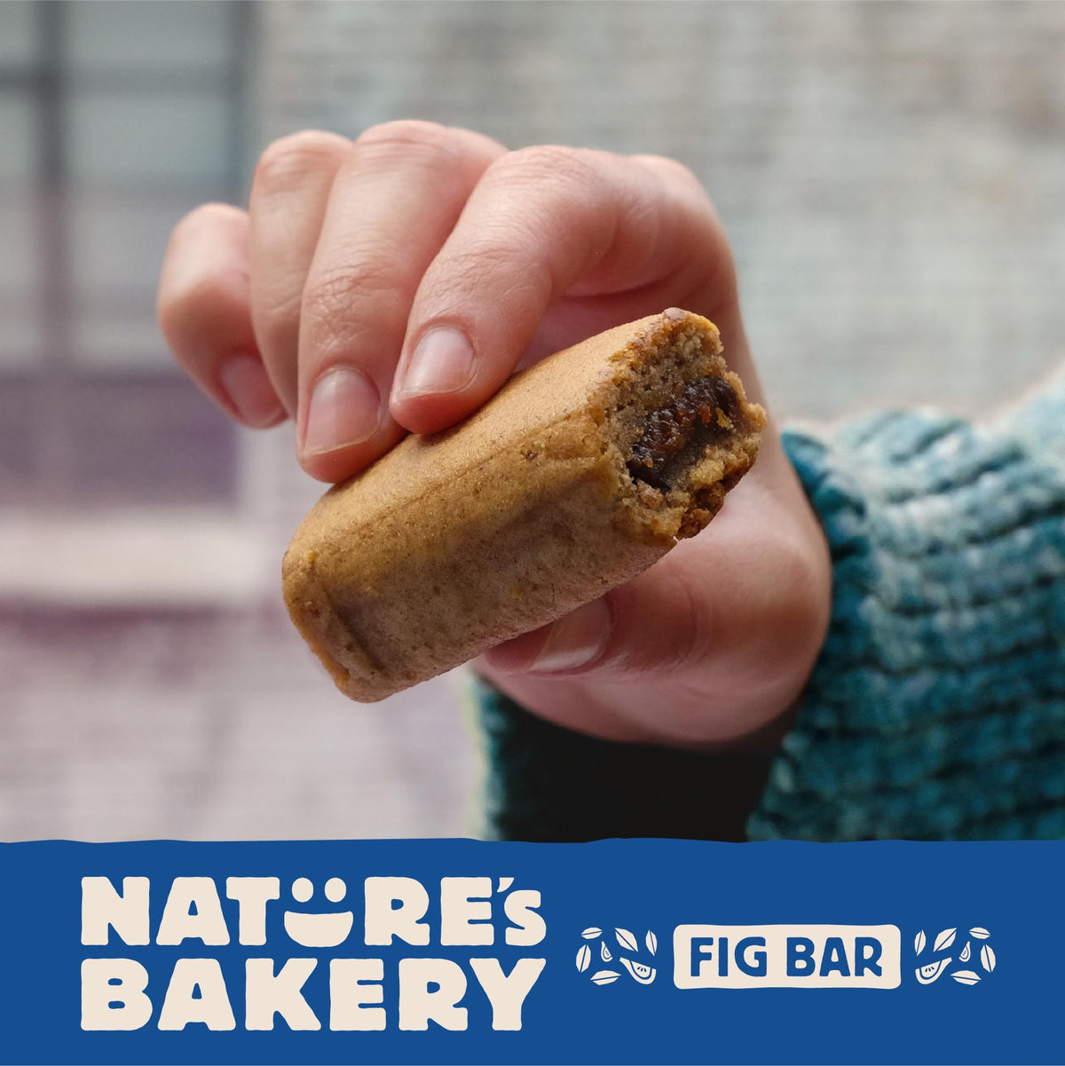 Nature's Bakery gluten-free fig bars blueberry decorative packshot, colorful and appealing.