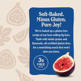 Nature's Bakery gluten-free fig bars blueberry pack open, two bars ready to enjoy.