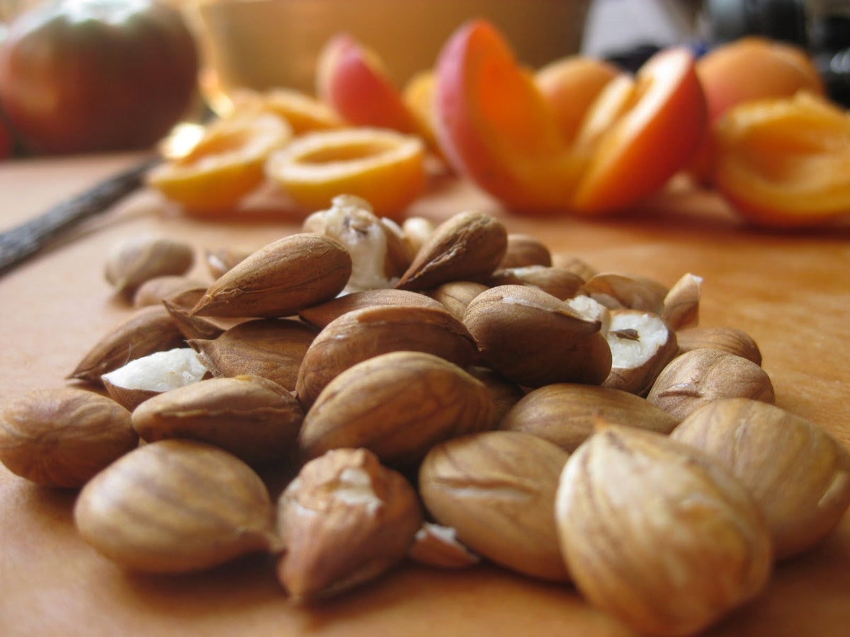Nature's Choice apricot seeds in a jar, easy to scoop for recipes