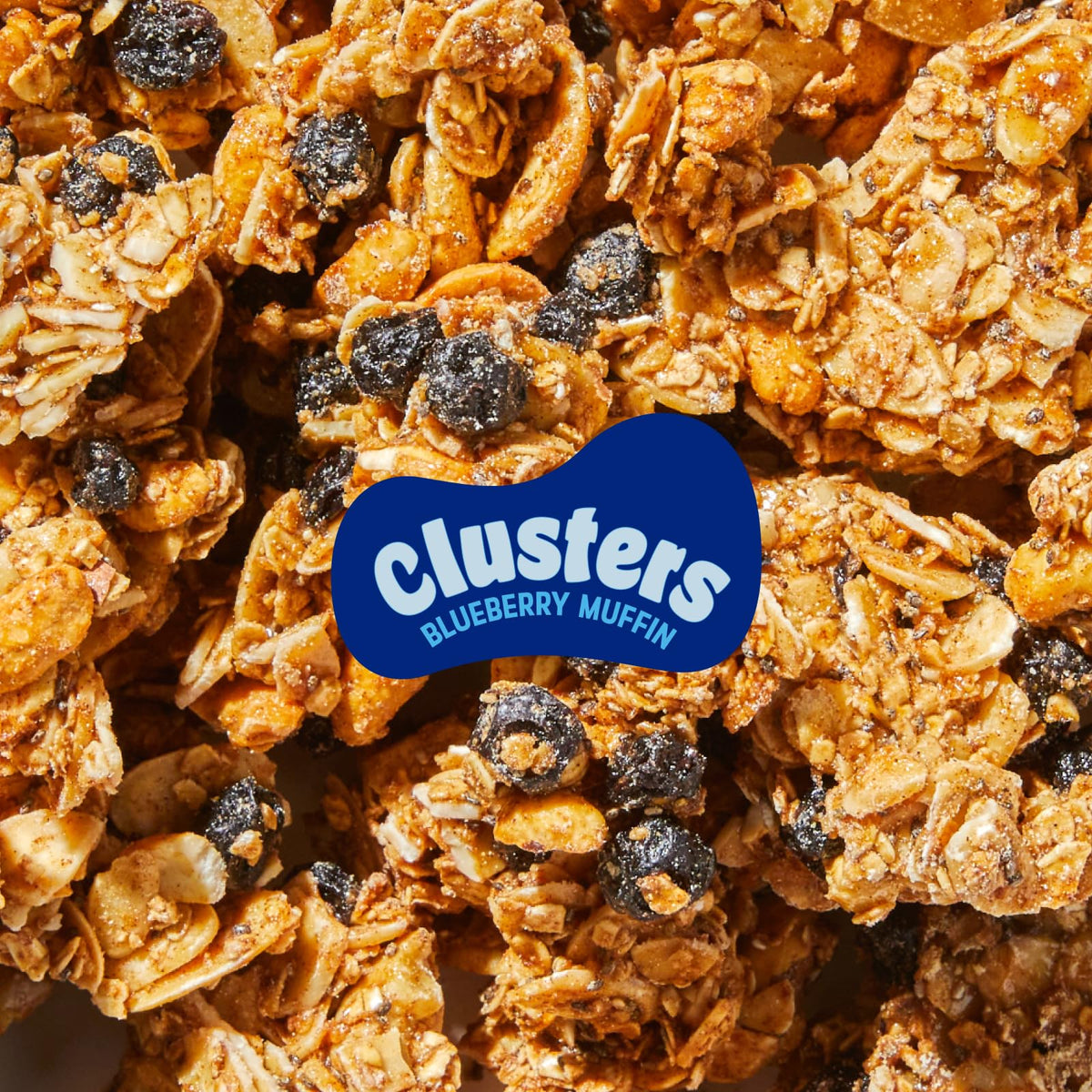 A handful of Nature's Garden Blueberry Muffin Clusters ready for a crunchy bite.