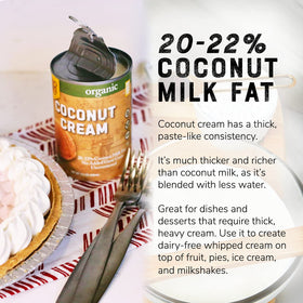 Nature's Greatest Foods coconut cream dessert bowl for unsweetened richness