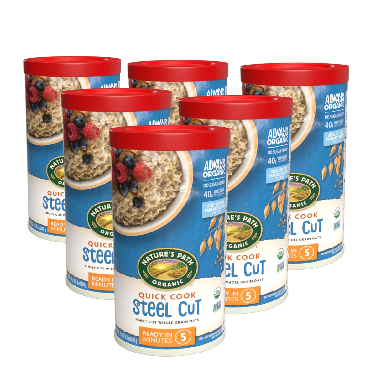 Nature's Path steel-cut oats close-up showing hearty texture.