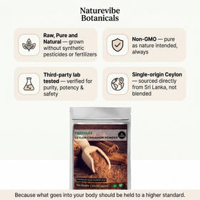 Naturevibe Botanicals Ceylon Cinnamon powder adds warmth to baking ideas.