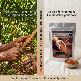 Naturevibe Botanicals Ceylon Cinnamon powder ground texture ready for recipes.