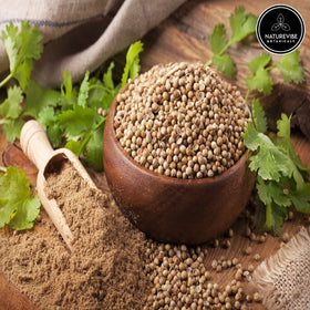 Naturevibe Botanicals coriander seed powder scoop for easy measured seasoning in recipes.