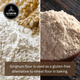 Naturevibe Botanicals Sorghum Flour used in flatbreads and roti recipes.