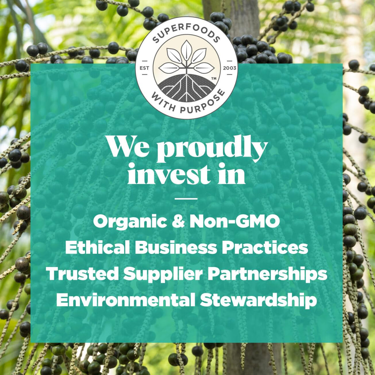 Navitas Organics Acai Powder packaging emphasizing sustainability.