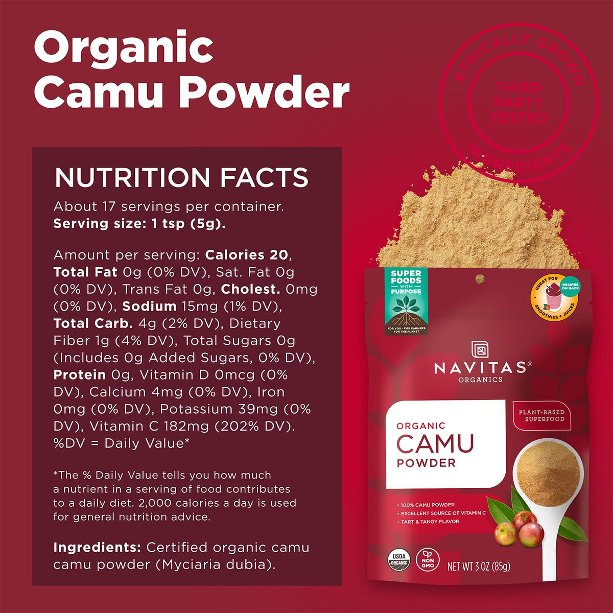 Close-up of Camu powder in spoon highlighting tart berry flavor.