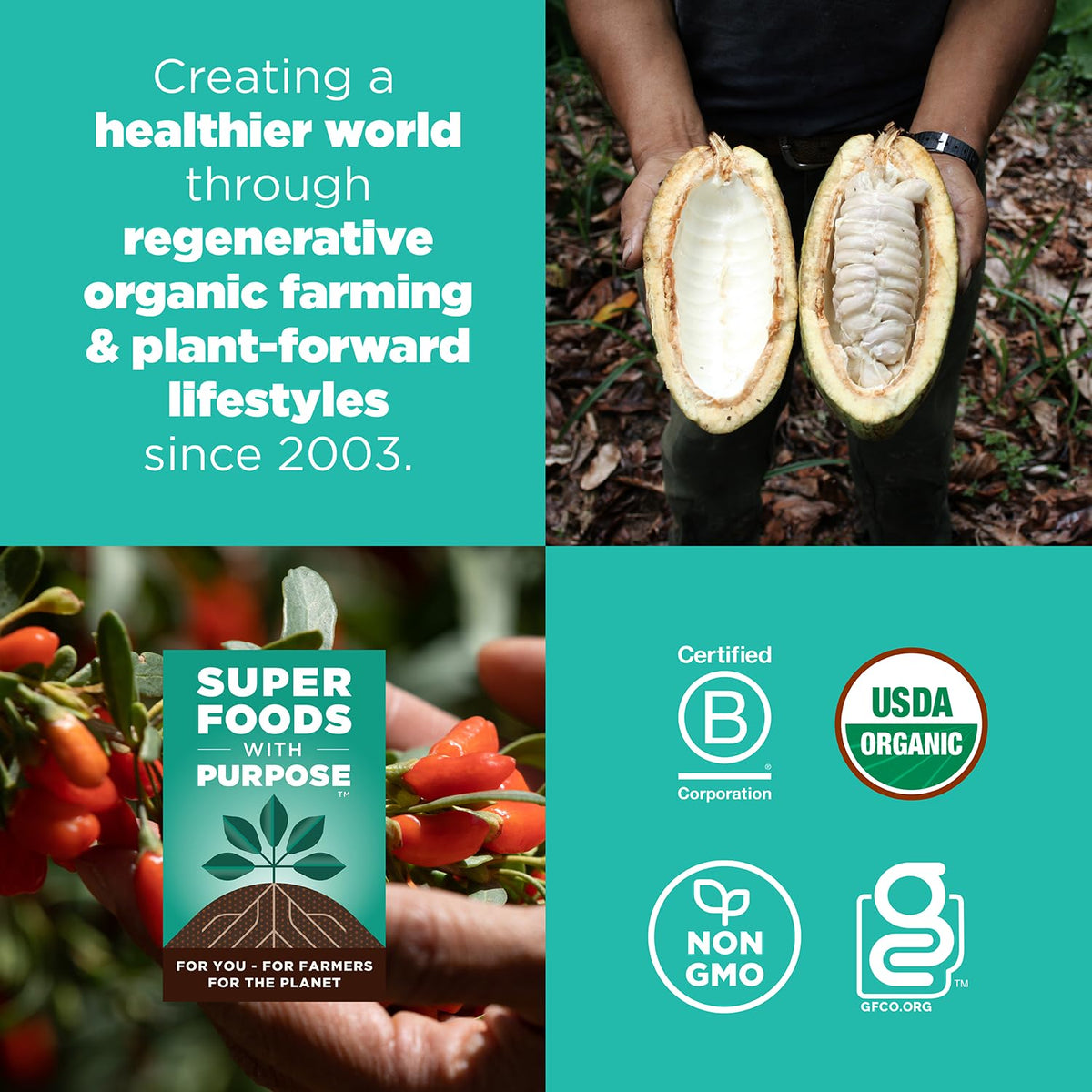 Navitas Organics vegan non-GMO icon signaling quality