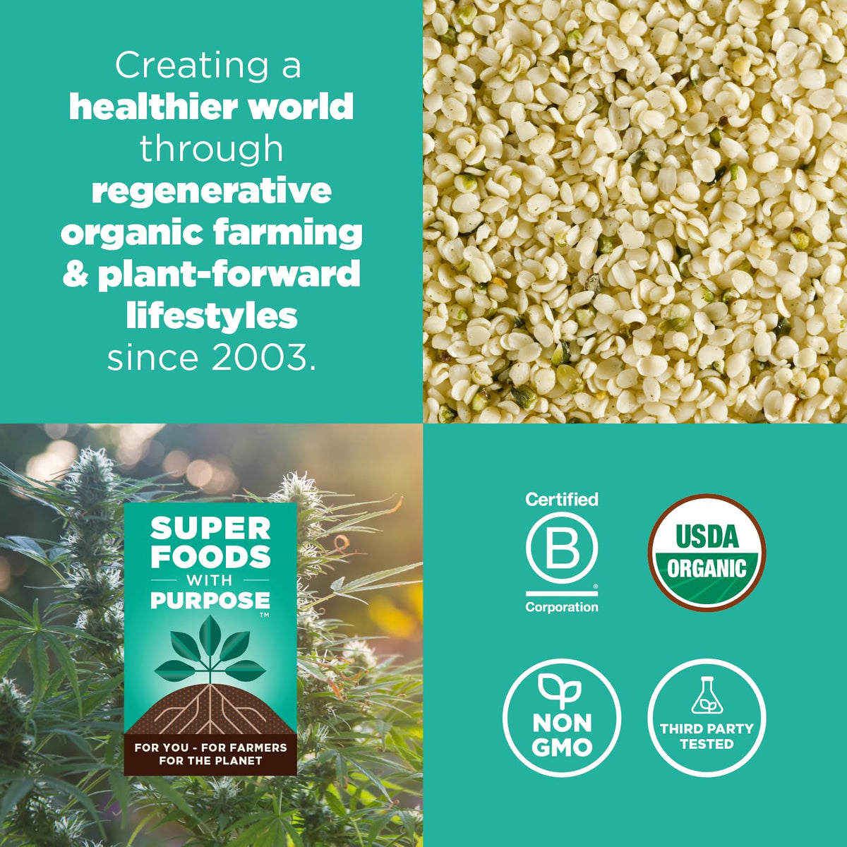 Navitas Organics Hemp Powder pours into oats for a healthy breakfast option.