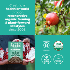 Navitas Organics Pomegranate Powder baked into desserts for vibrant flavor