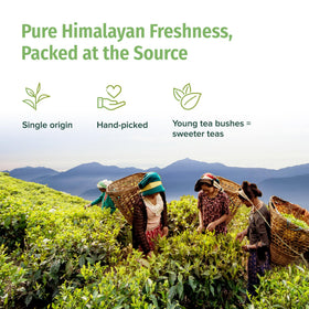 Scene from Nepal Tea single-origin farm highlighting hillside cultivation.
