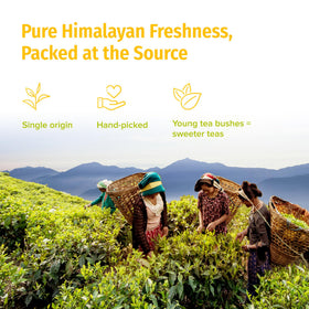 Brewed Nepal Tea White Prakash cup with amber infusion and floral aroma