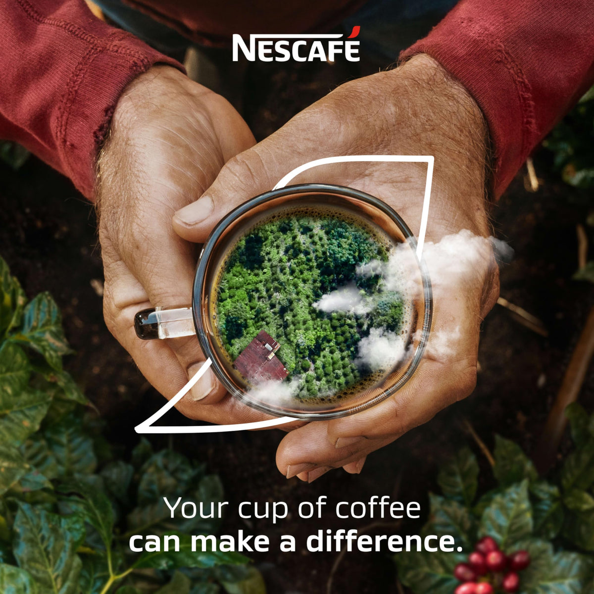 Nescafe responsibly sourced beans ensuring quality in every batch