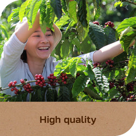 NESCAFÉ Taster's Choice House Blend morning routine setup implies dependable caffeine boost