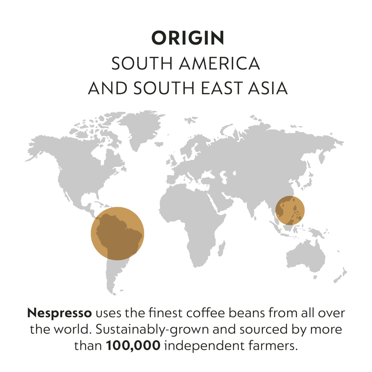 Nespresso Fortado Decaffeinato cocoa notes closeup emphasize oak depth.
